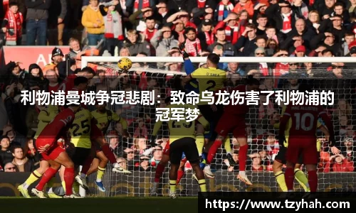 凤凰联盟首页官网
